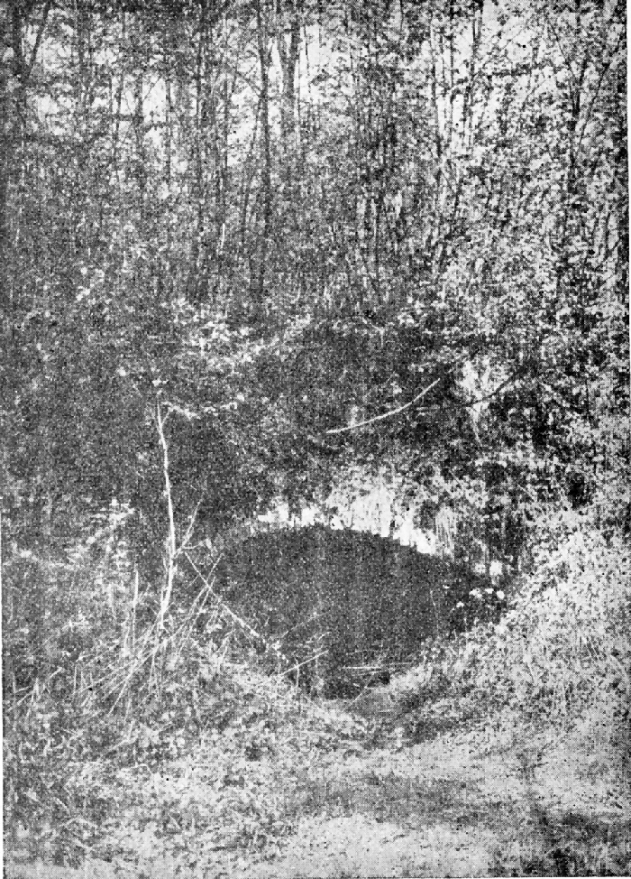 Pâturages : Forêt de Colfontaine, la cave du R'mite.