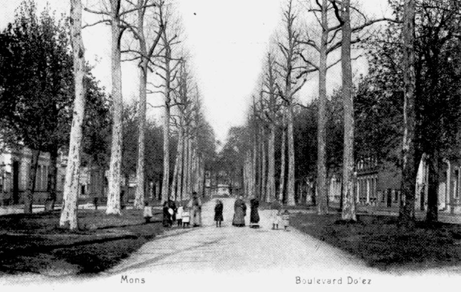 Mons : Boulevard Dolez où on aimait se promener sous les majestueux platanes. Il y a même un banc pour méditer sur ce qu'est devenu cet endroit à notre époque.